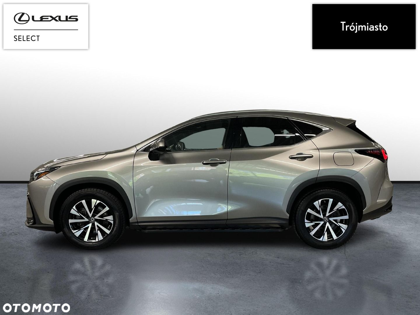 Lexus NX - 9