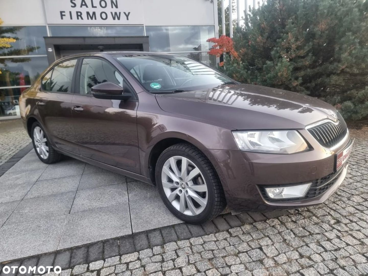 Skoda Octavia 1.6 TDI Elegance - 37