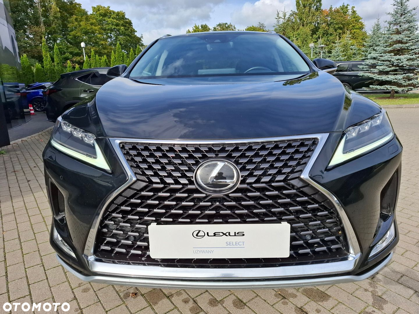 Lexus RX - 8