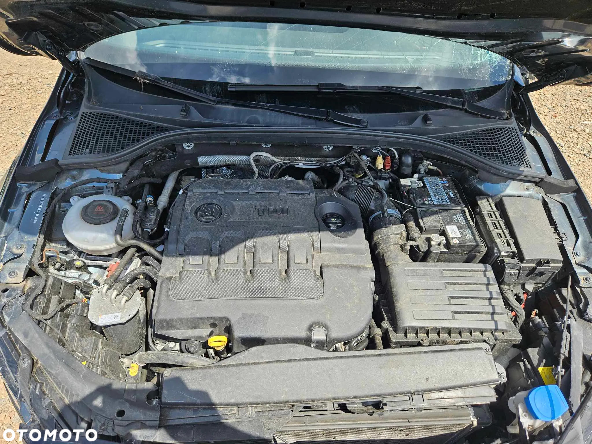 Skoda Octavia 2.0 TDI 4x4 DSG RS - 22