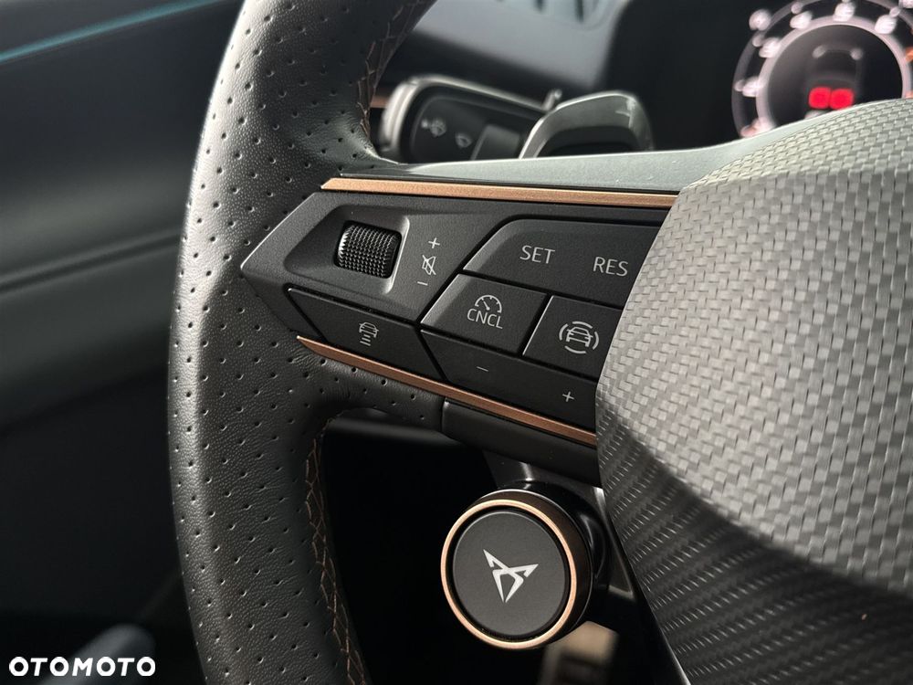 Cupra Terramar - 10
