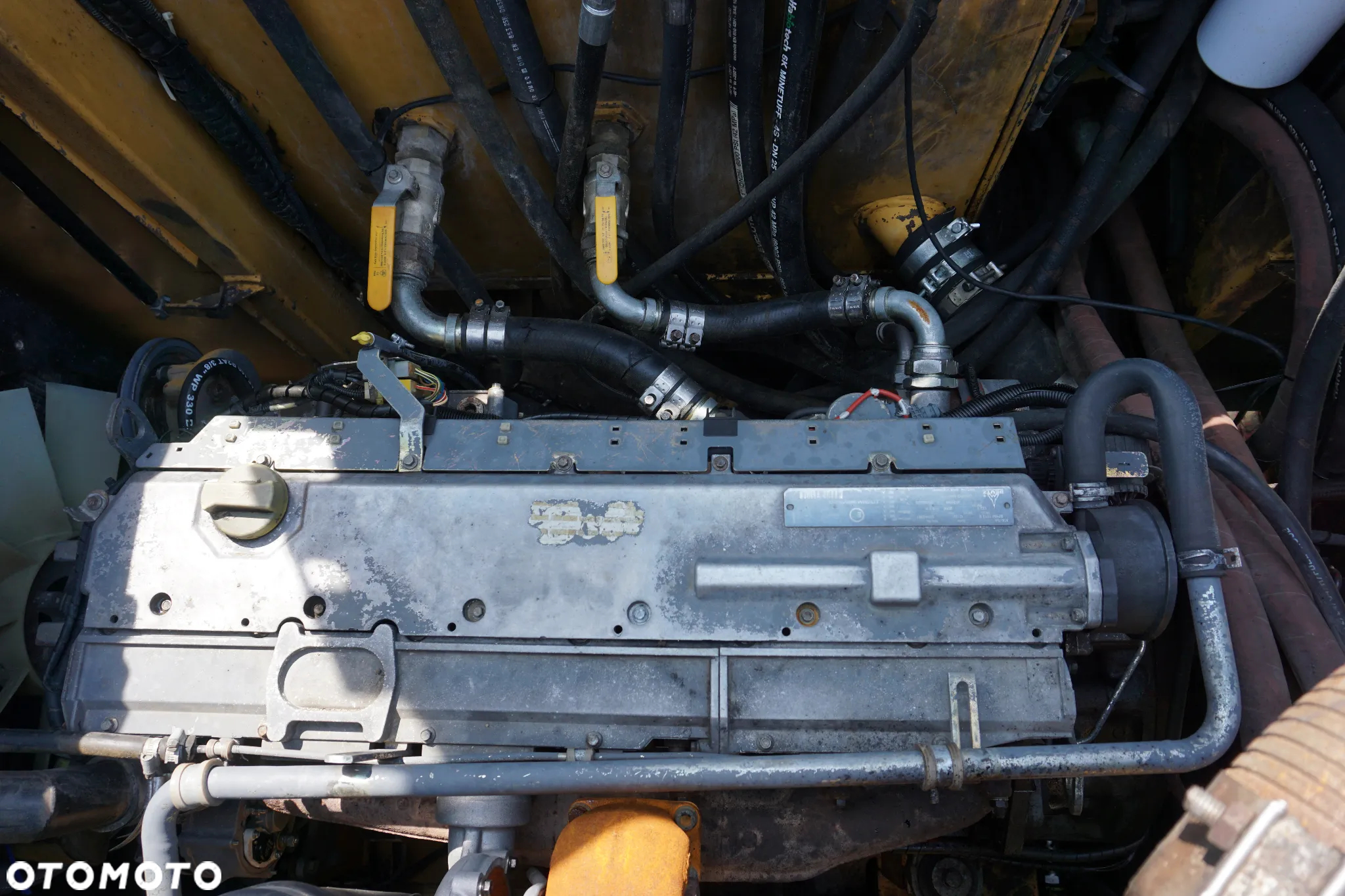 Extec C10 Pitbull - 12