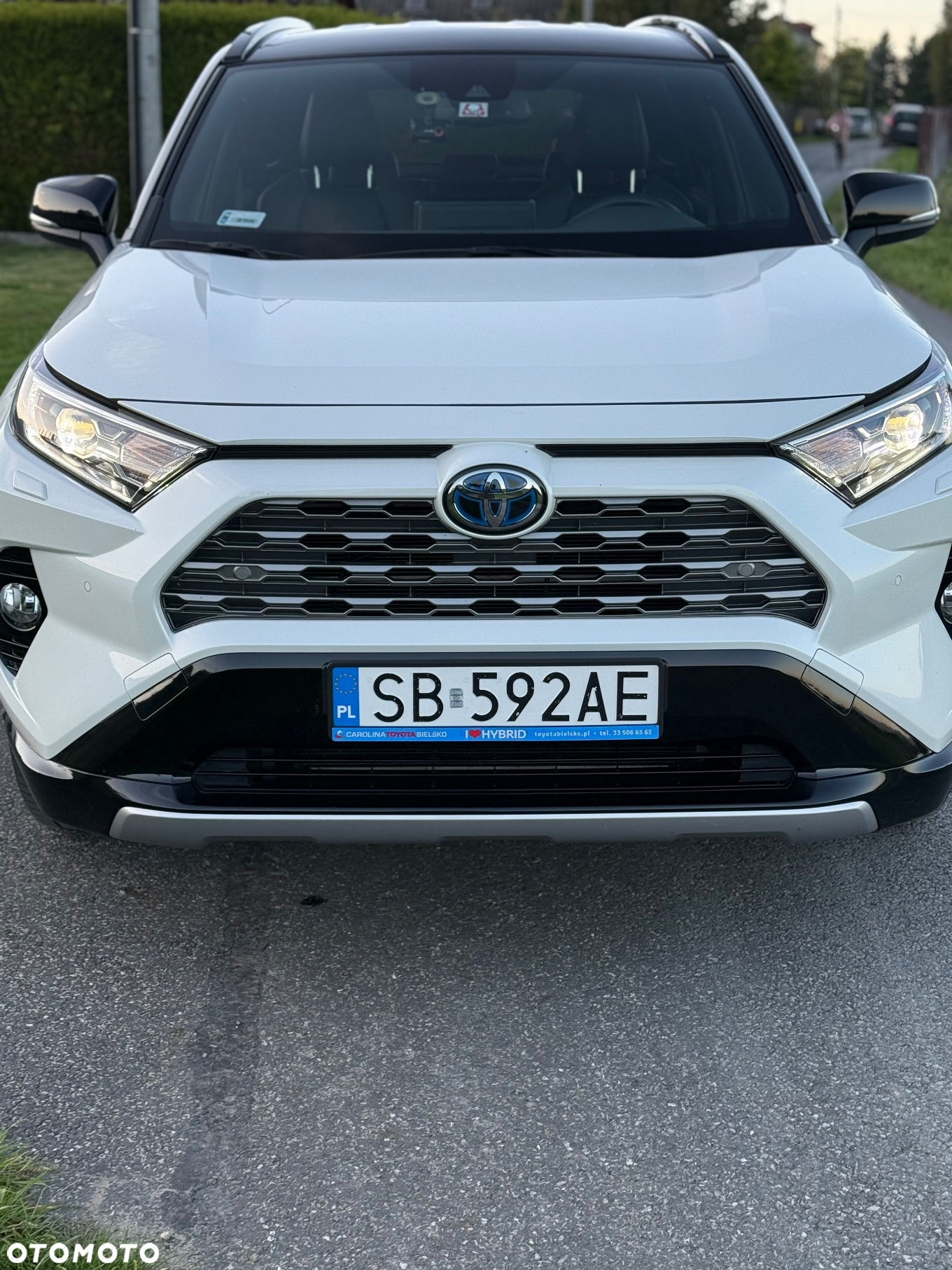 Toyota RAV4 2.5 Hybrid Selection 4x2 - 3