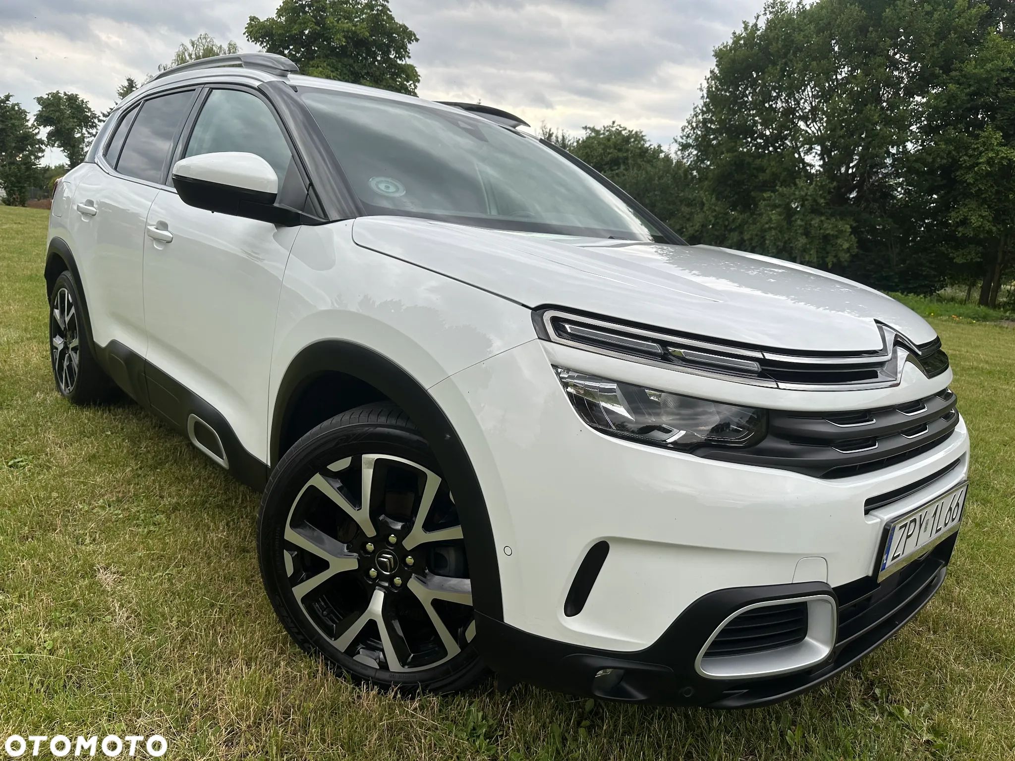 Citroën C5 Aircross 1.5 BlueHDi C-Series - 1