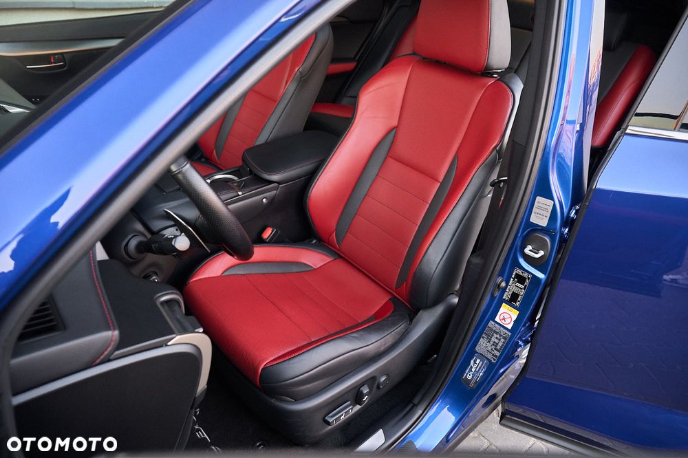 Lexus NX 300h F Sport AWD - 25