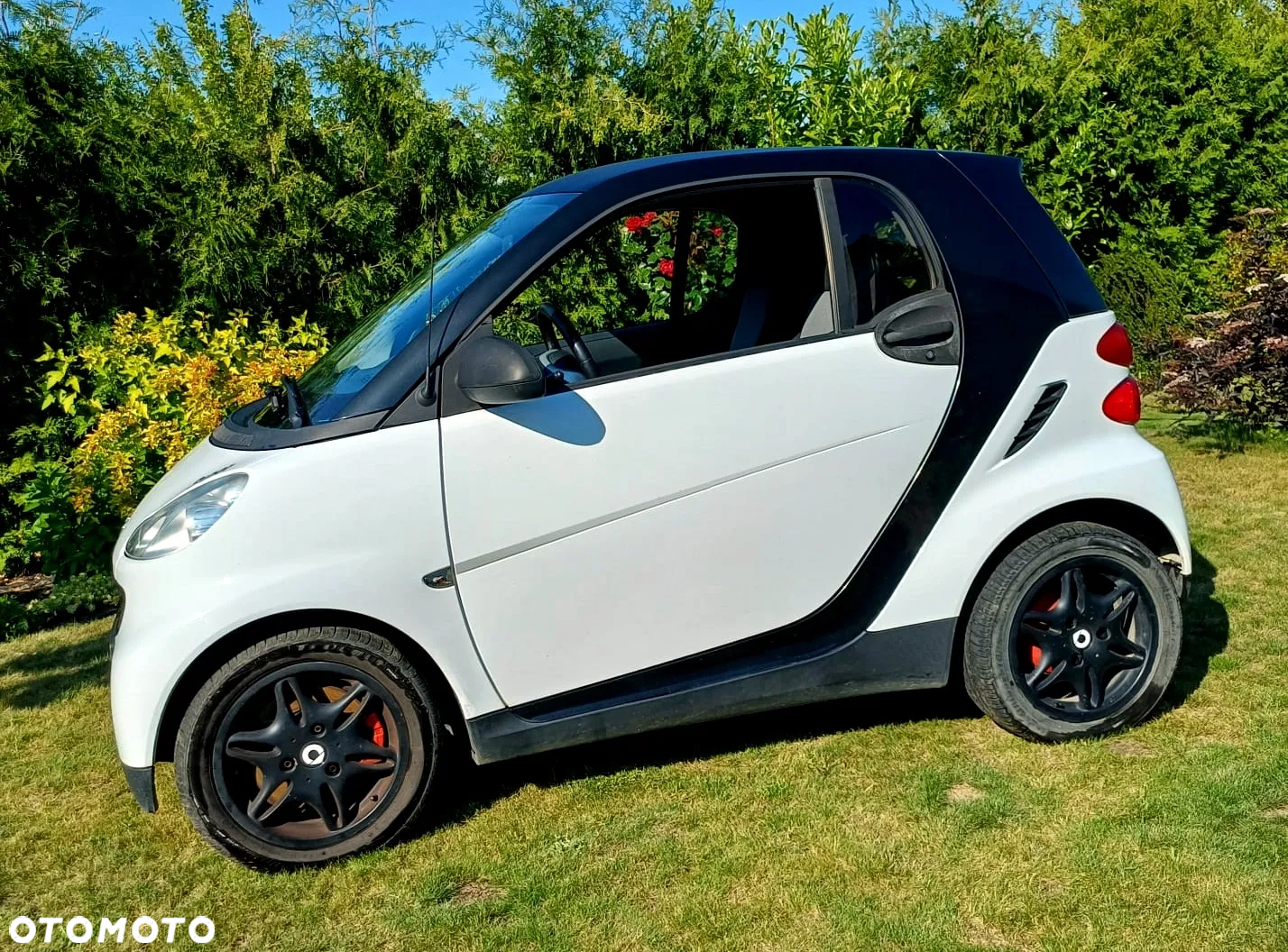 Smart Fortwo cdi coupe softouch black&white limited dpf - 2