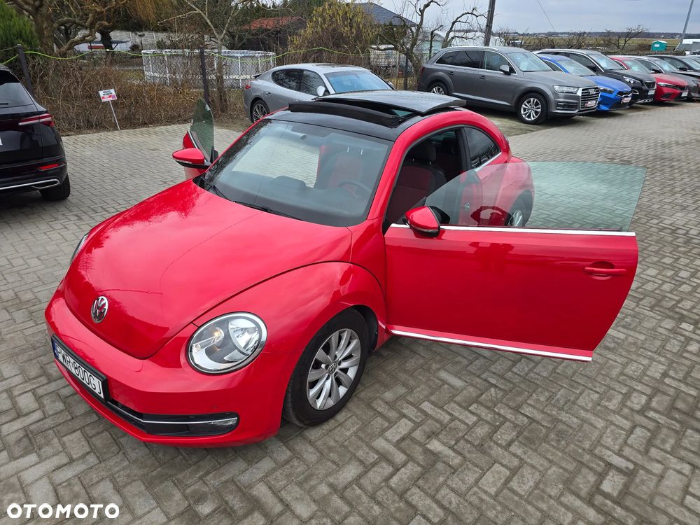 Volkswagen Beetle - 32