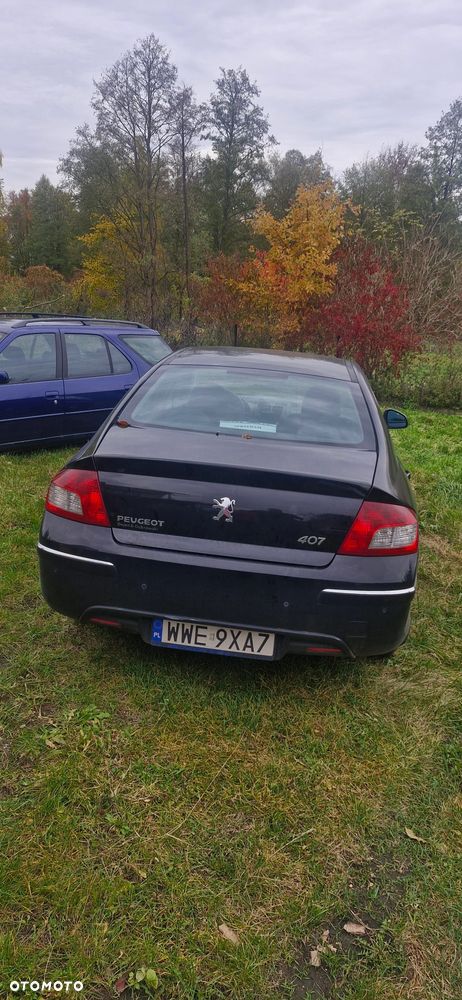 Peugeot 407 2010 photo 4