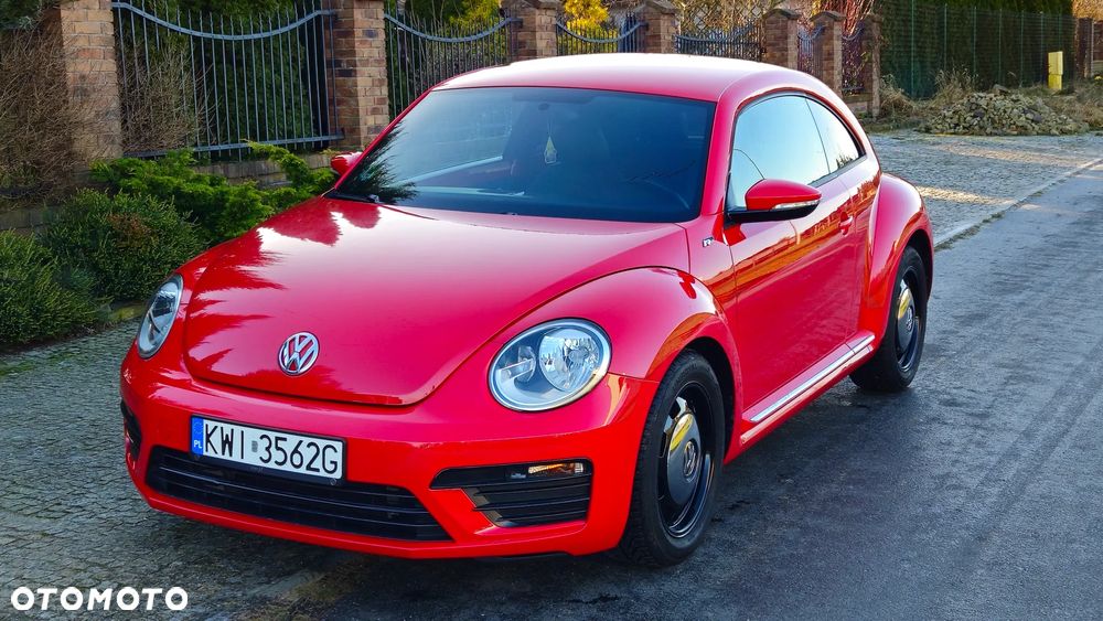 Volkswagen Beetle - 6