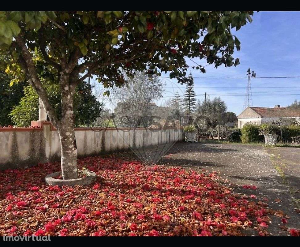 Moradia T3 para venda - Grande imagem: 4/46