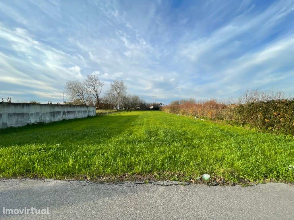 TERRENO P/CONSTRUÇÃO - MURTOSA - Grande imagem: 2/7