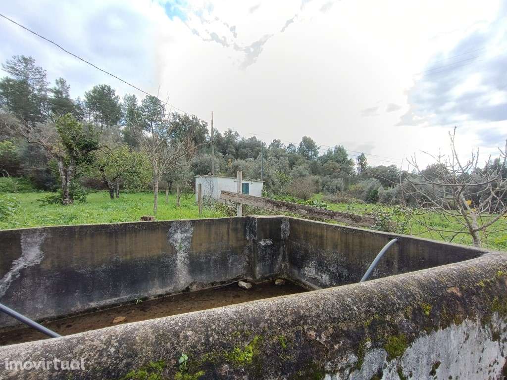 Dois terreno para venda com viabilidade de construção - Grande imagem: 2/3