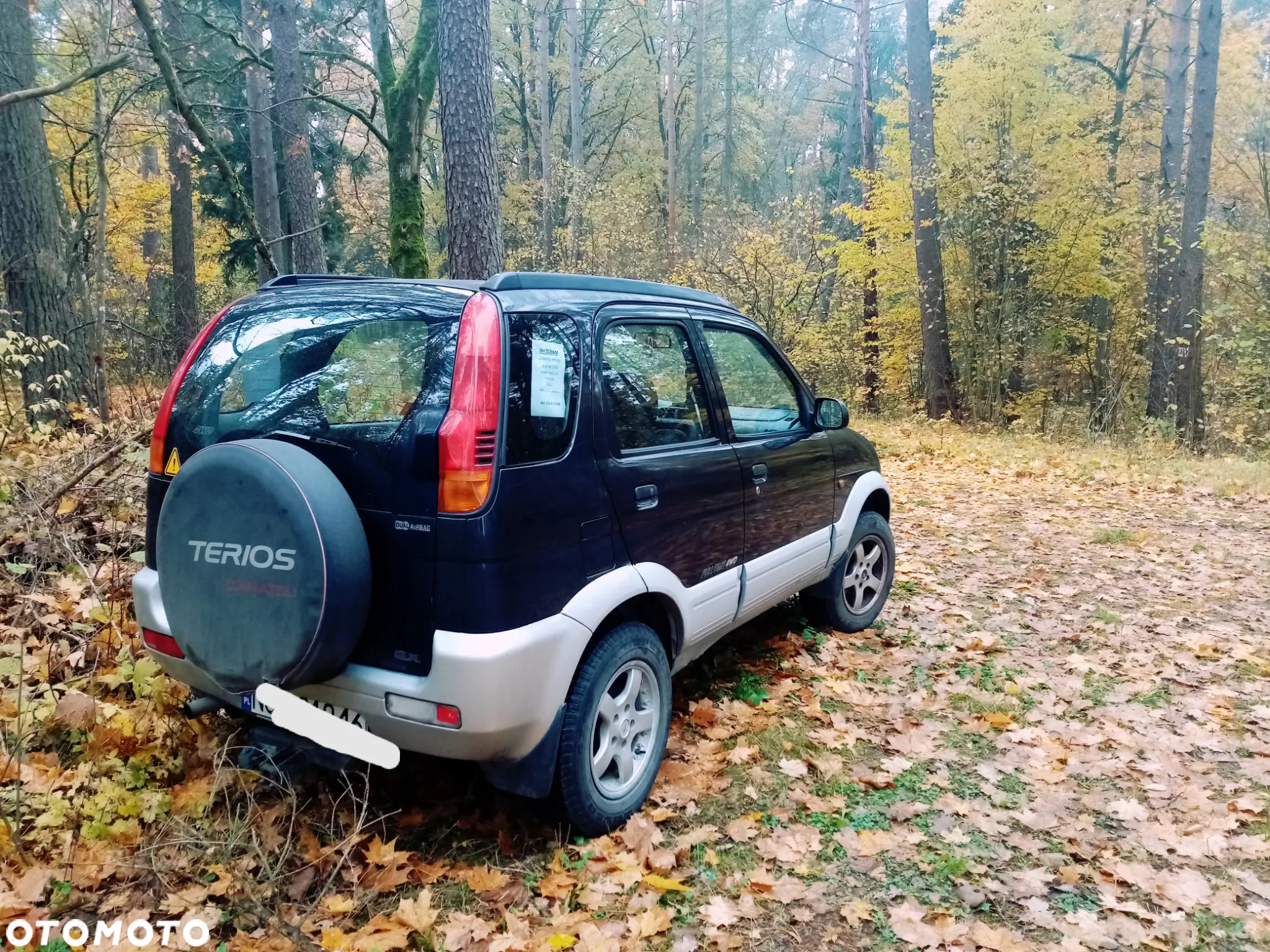 Daihatsu Terios - 2