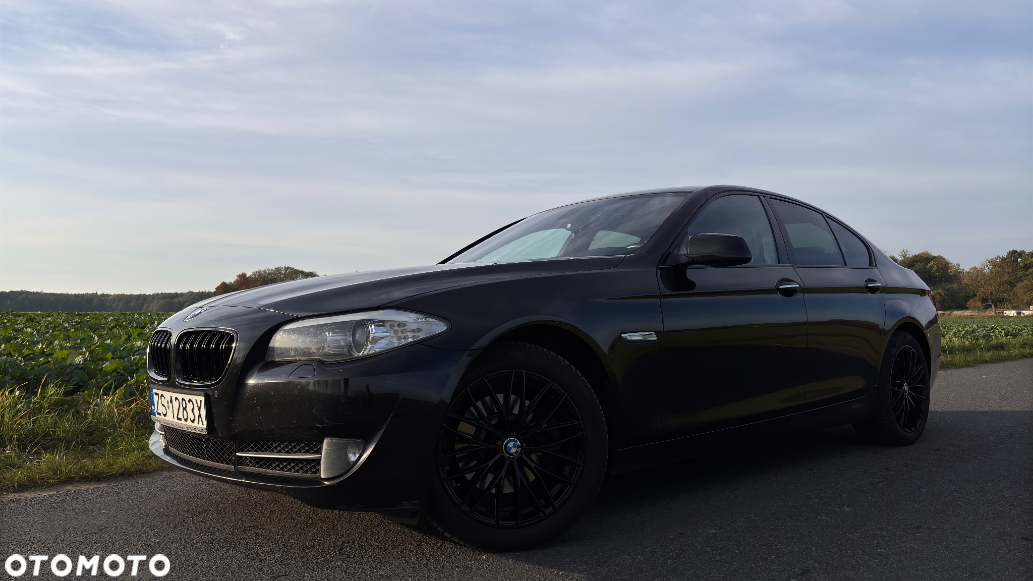 BMW Seria 5 - 2