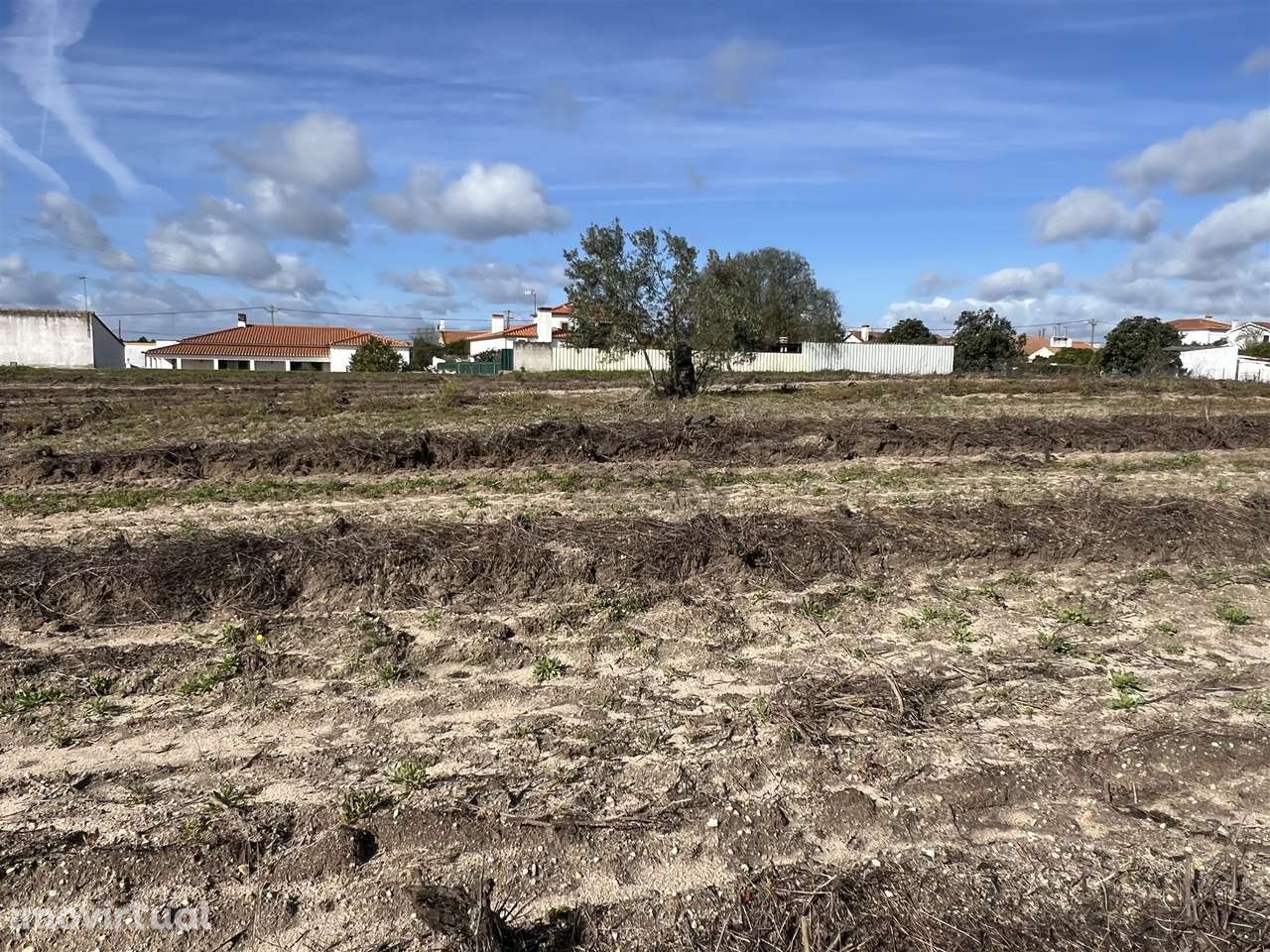 Terreno Para Construção  Venda em Biscainho,Coruche - Grande imagem: 3/14