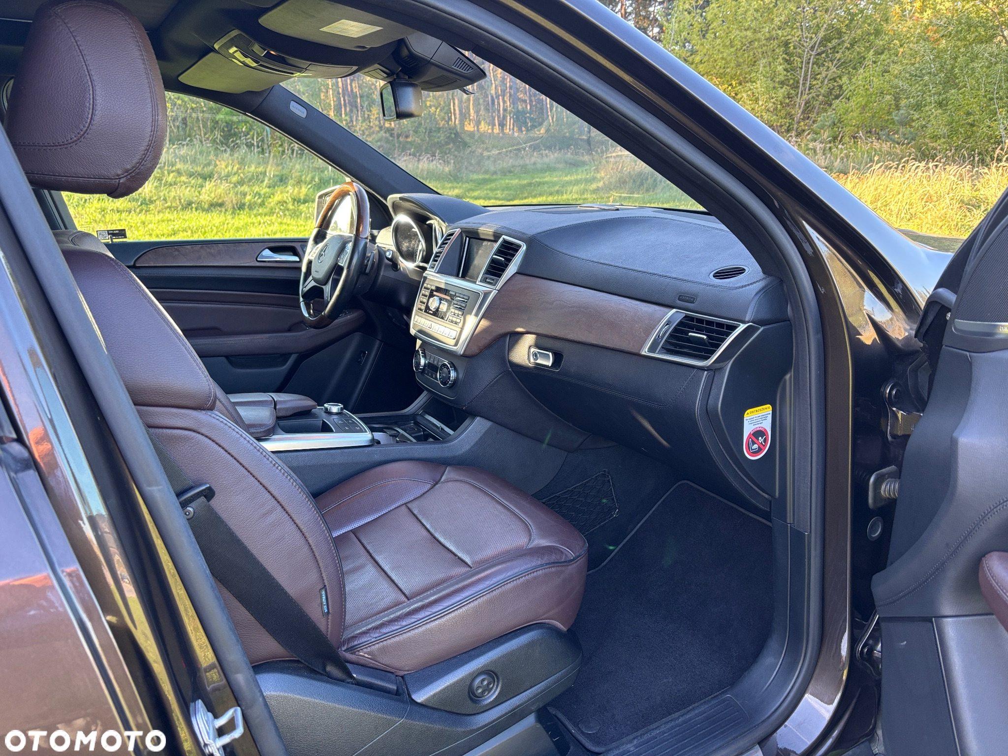 Mercedes-Benz ML 350 BlueTec 4-Matic - 25