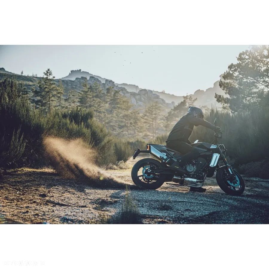 Husqvarna Svartpilen - 24