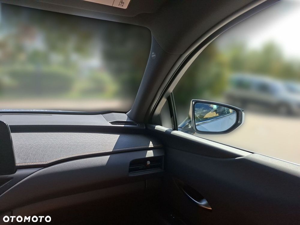 Lexus UX 300h F Sport Design - 28