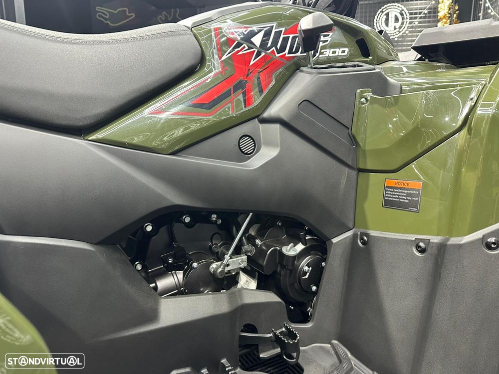 Loncin XWOLF 300 FO T3B - 3