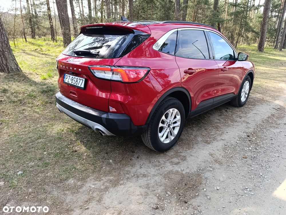 Ford Kuga 1.5 EcoBoost SOUND EDITION - 12