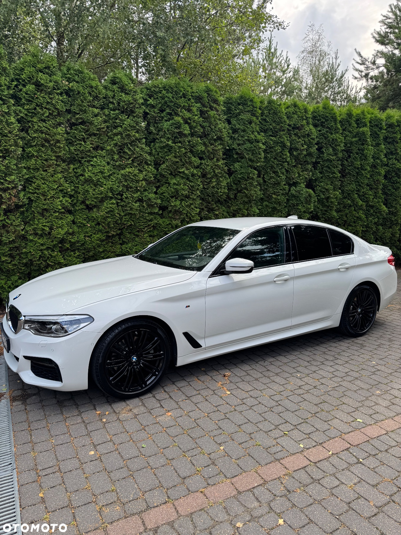 BMW Seria 5 520d xDrive - 11
