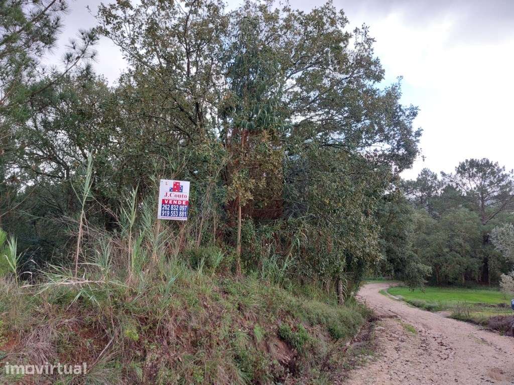 Terreno Rustico com vario tipos de árvores - Grande imagem: 3/11