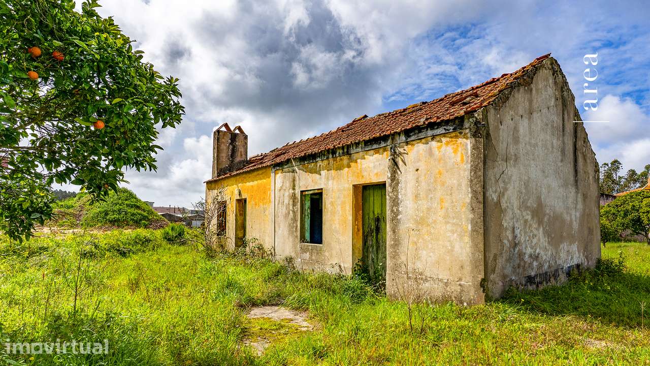 Imóvel Exclusivo | Casinha e Terreno do Ervedal - Grande imagem: 3/20