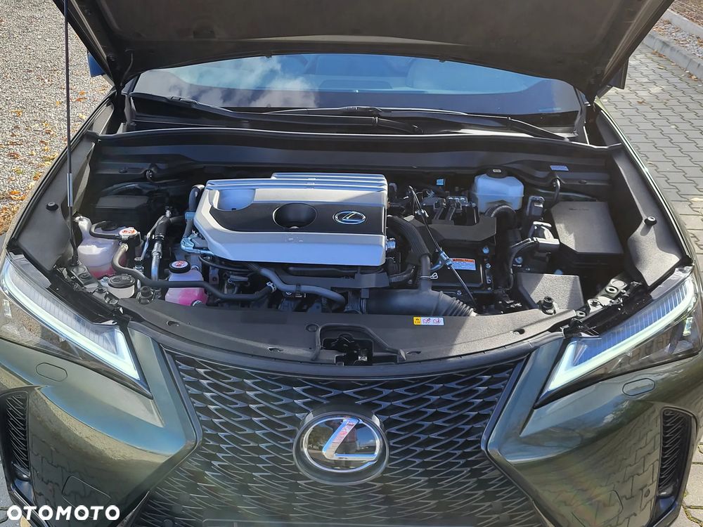 Lexus UX 250h GPF F Sport AWD - 38