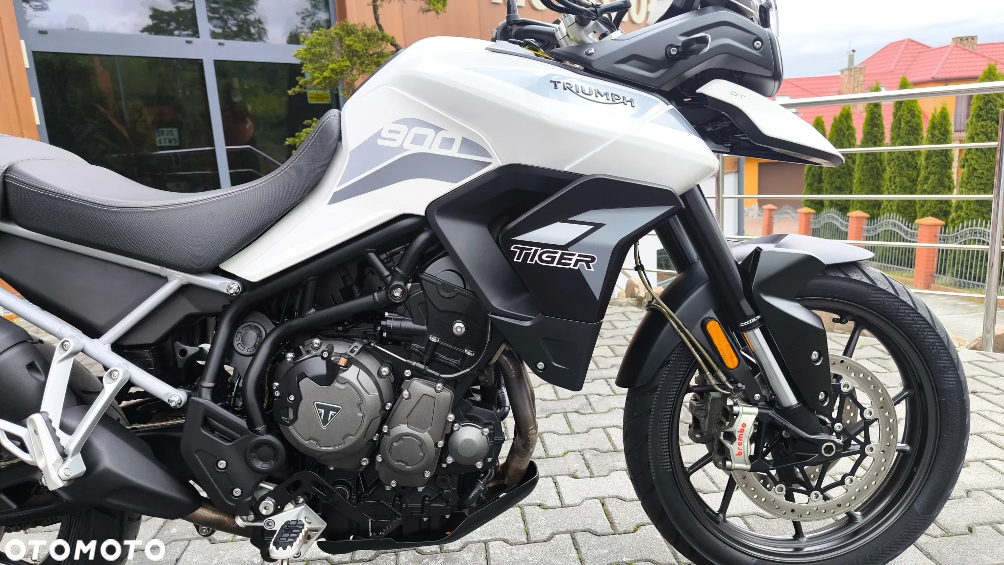 Triumph Tiger - 16