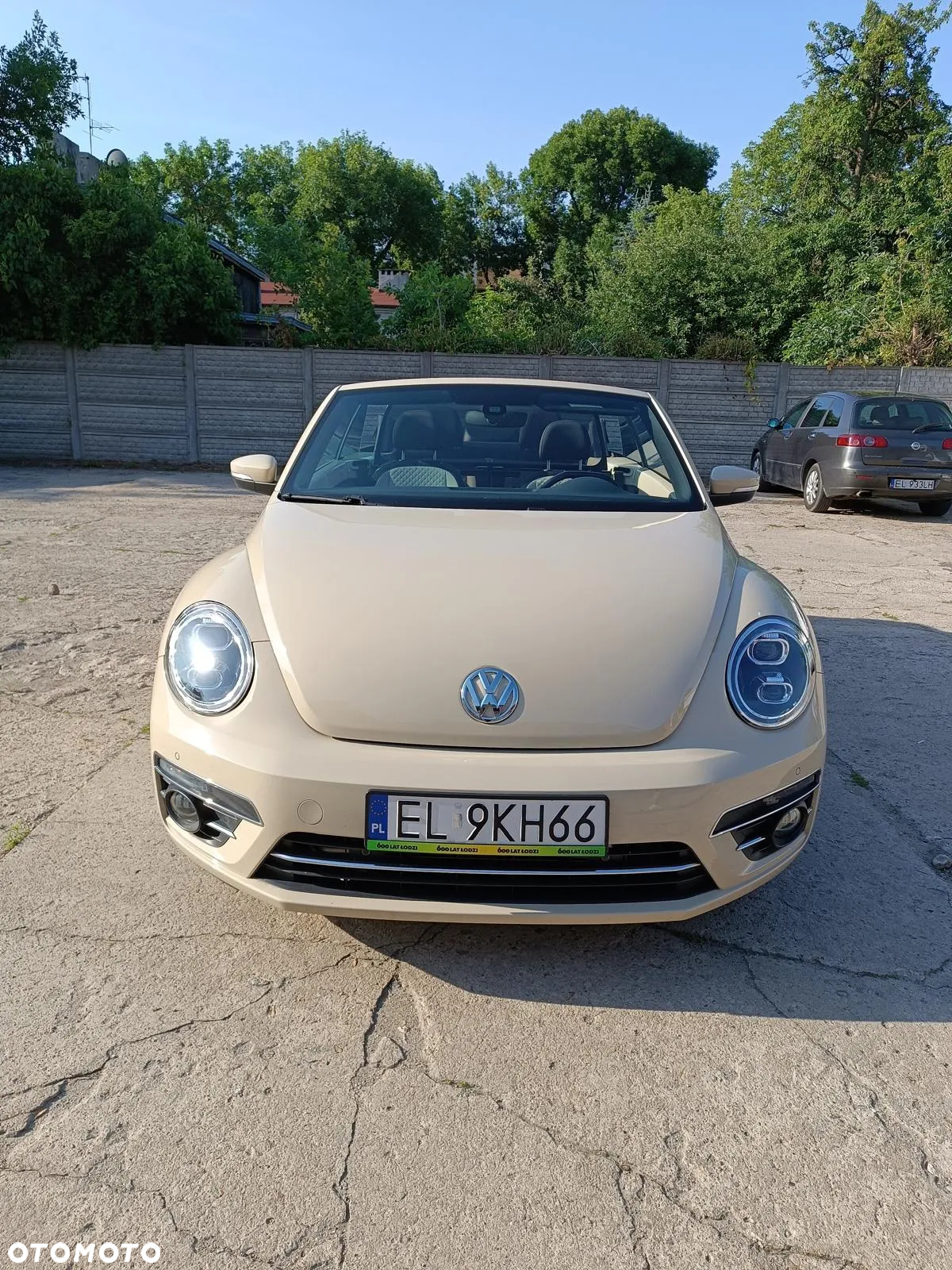 Volkswagen Beetle - 2