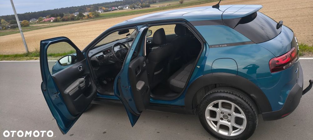 Citroën C4 Cactus - 18