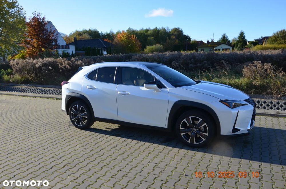 Lexus UX - 10