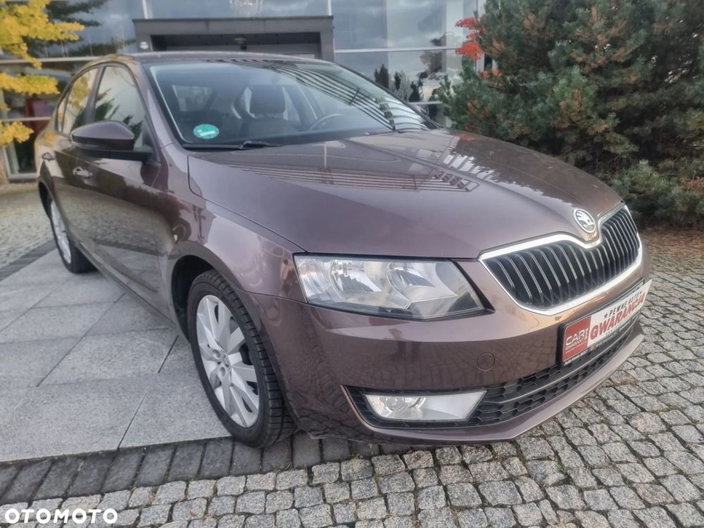 Skoda Octavia 1.6 TDI Elegance - 35