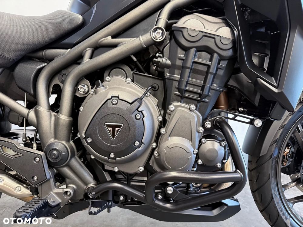 Triumph Tiger - 14
