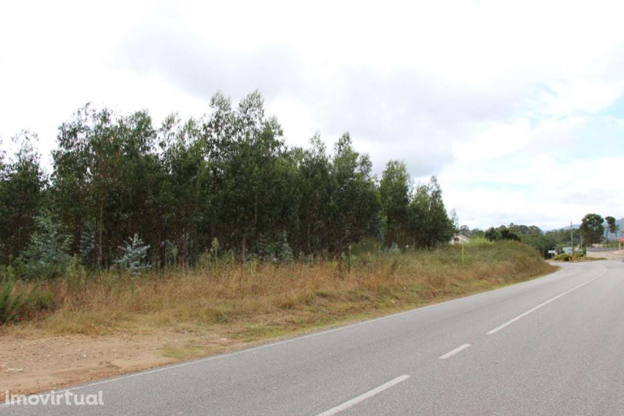 Terreno  Venda em Campo de Besteiros,Tondela - Grande imagem: 3/5