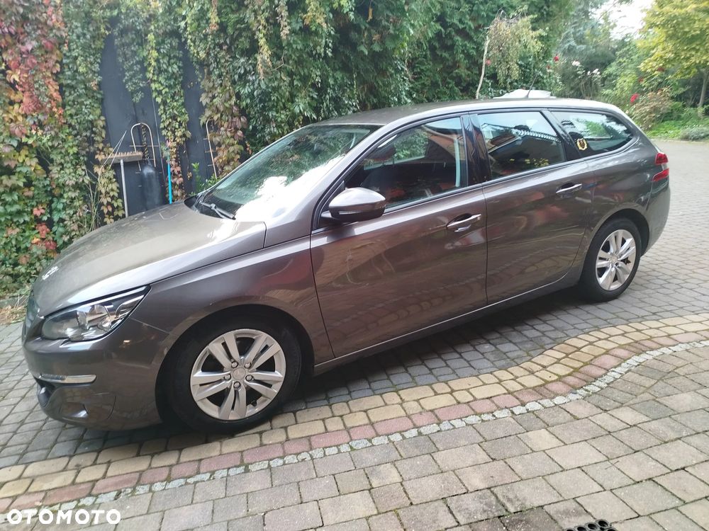 Peugeot 308 1.6 BlueHDi Access S&S - 11