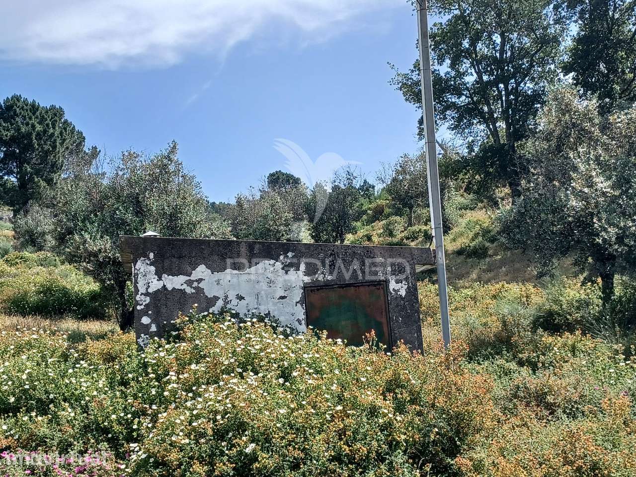 TERRENO RÚSTICO 5,425 HA - Portalegre - Grande imagem: 3/5
