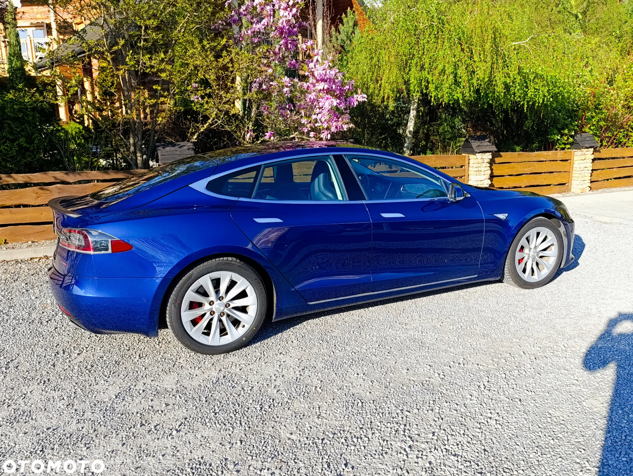 Tesla Model S Performance - 17