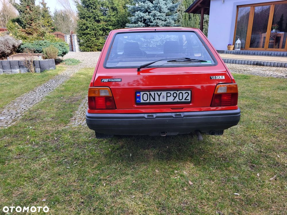 Polonez Caro - 7