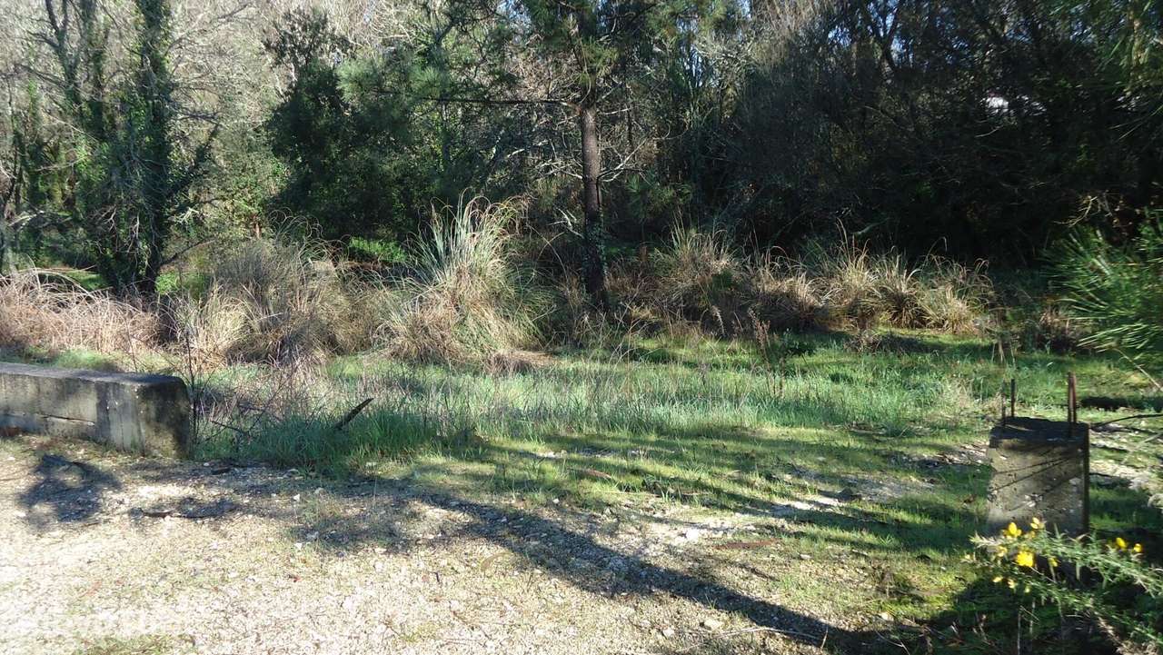 Terreno próximo de Aveiro - Grande imagem: 5/21
