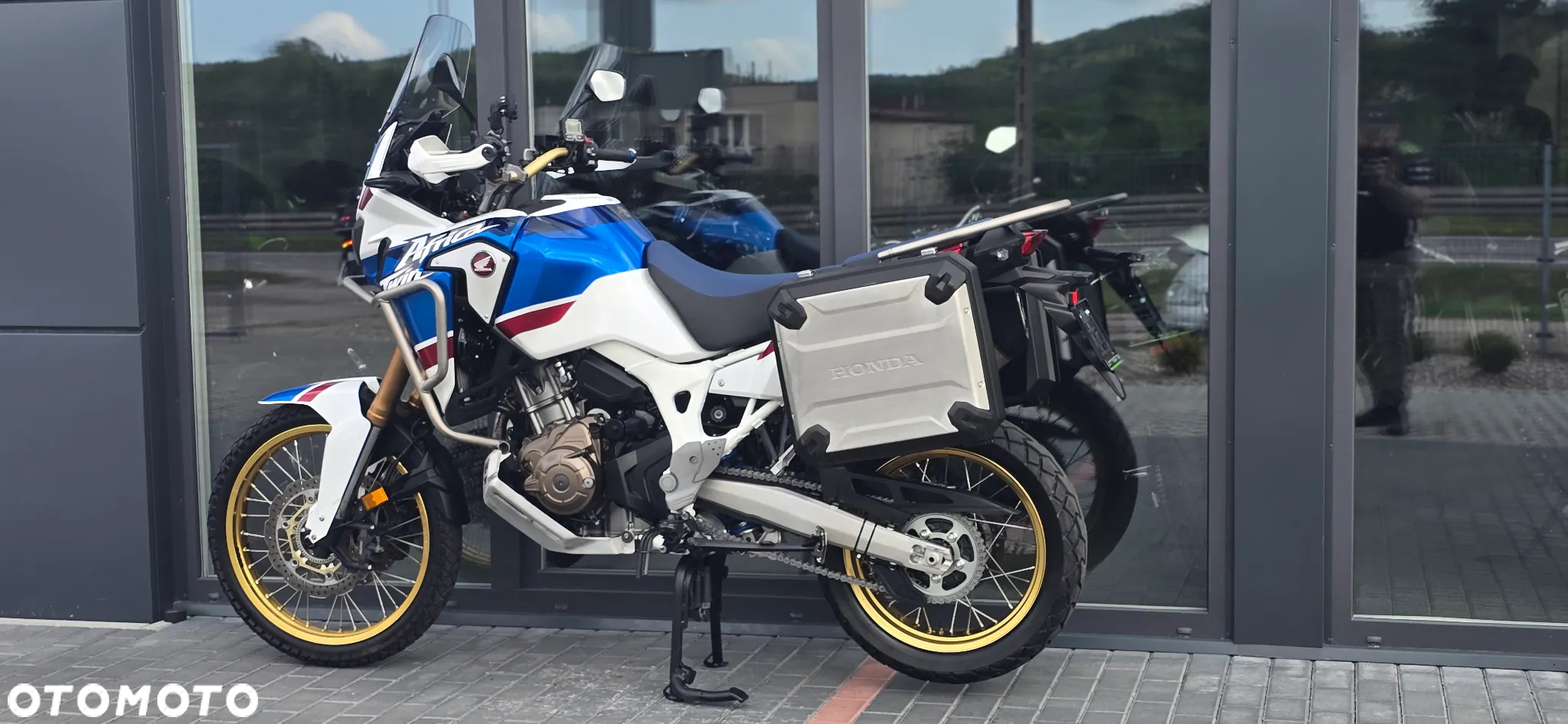 Honda CRF - 31