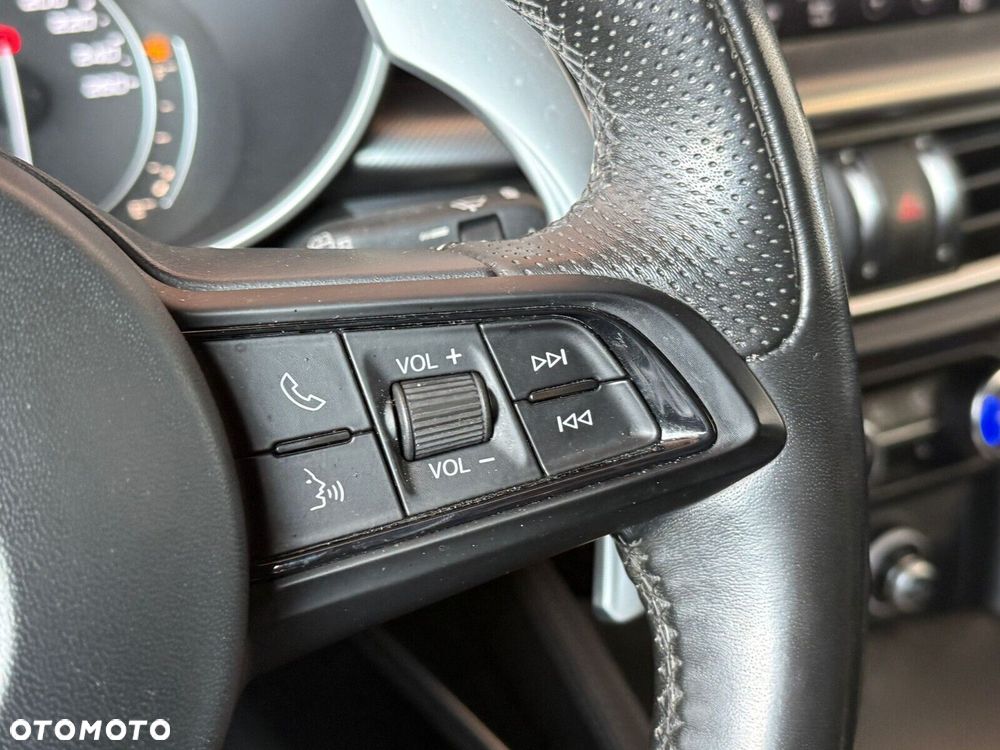 Alfa Romeo Stelvio - 19