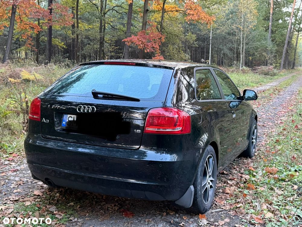 Audi A3 2008 photo 3
