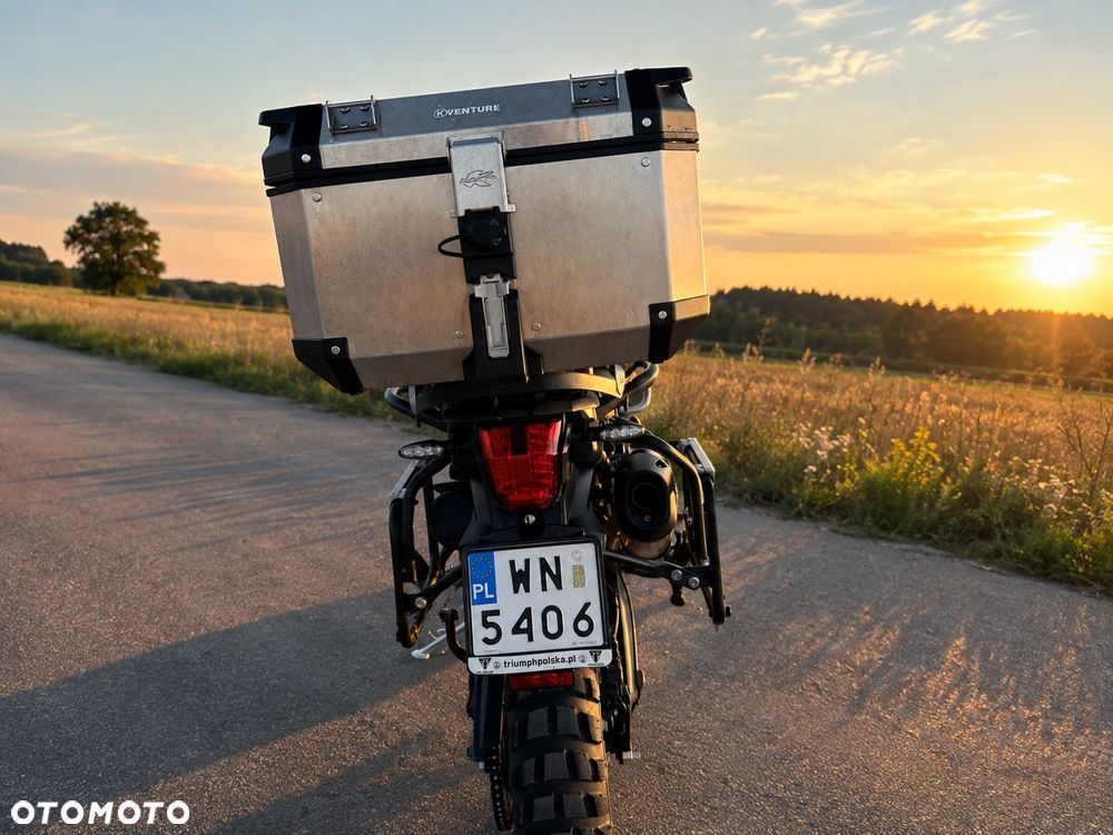 Triumph Tiger - 3