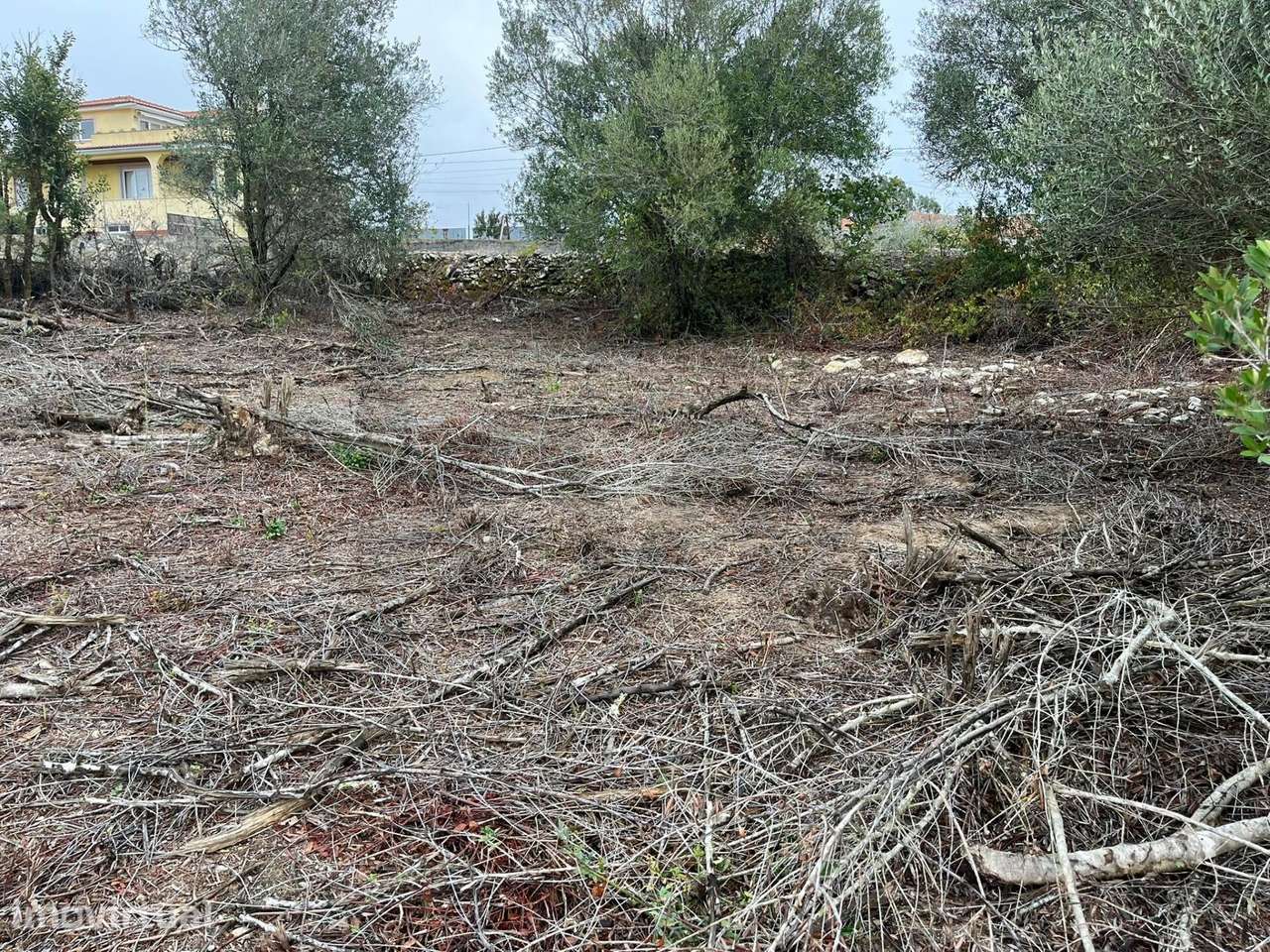 Terreno Misto com 3360 m2   em Godigana - Terrugem - Grande imagem: 3/9