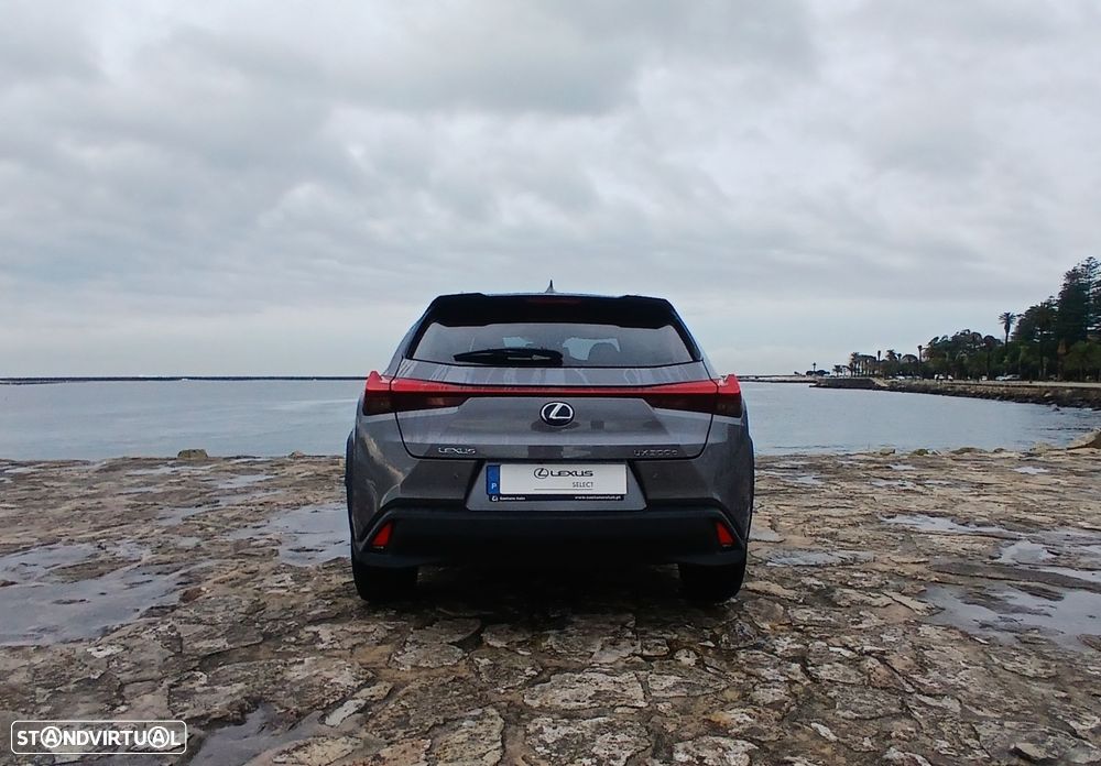 Lexus UX 300e Luxury - 5
