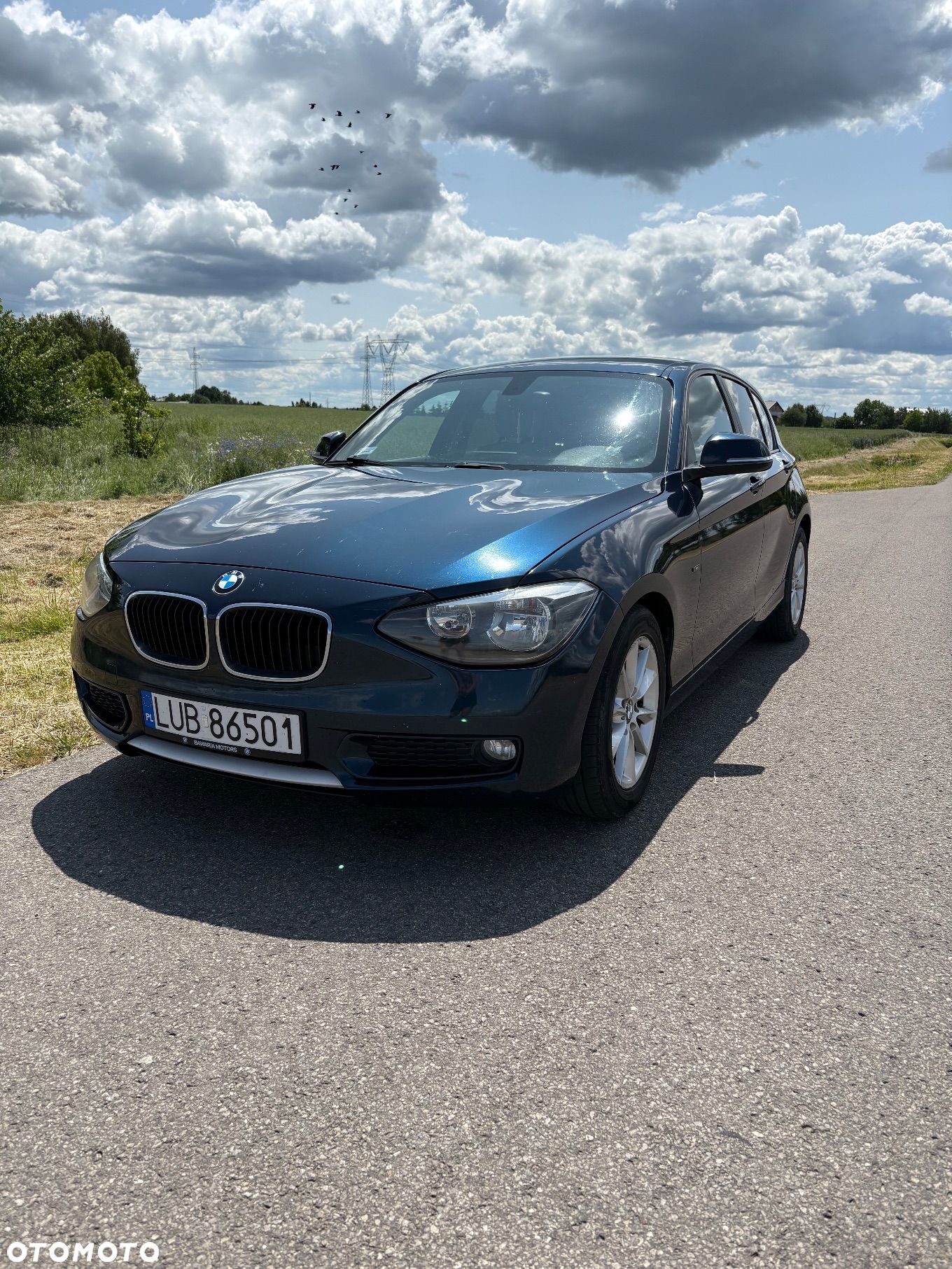 BMW Seria 1 116d EfficientDynamics Urban Line - 1
