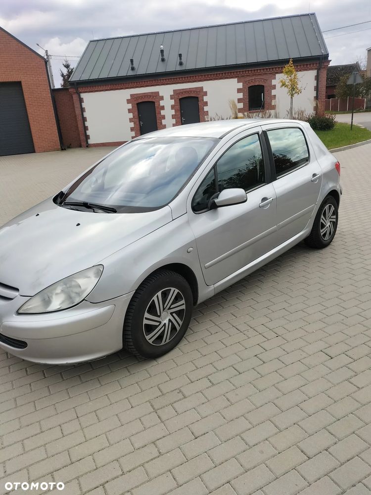 Peugeot 307 - 13
