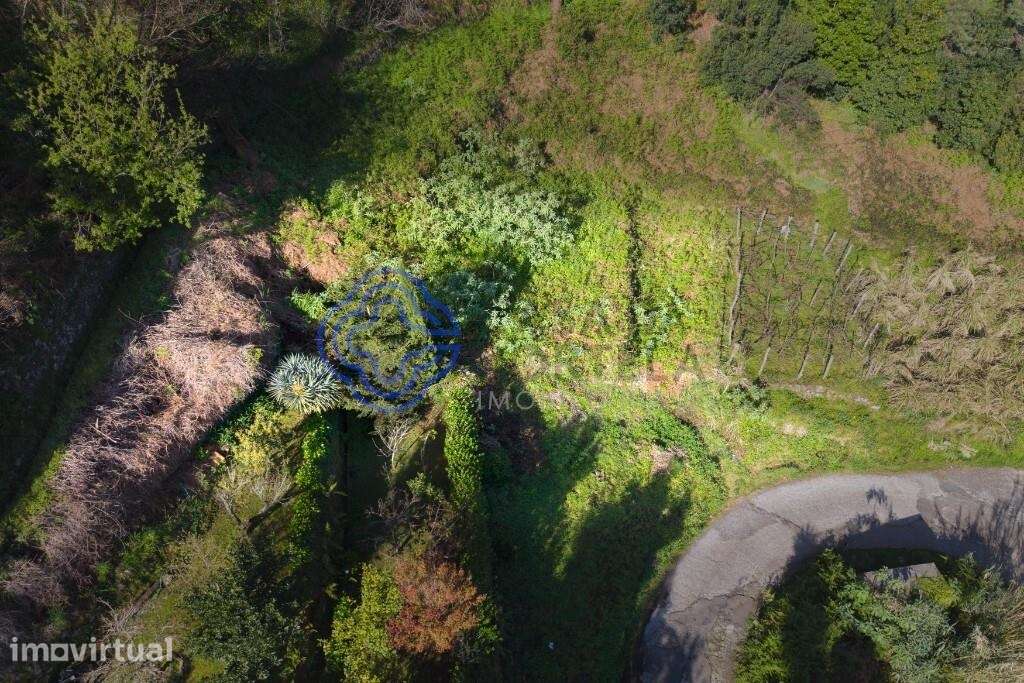 Terreno Rústico em Espaço Florestal Misto — Achada do Loural, São Vice - Grande imagem: 2/10