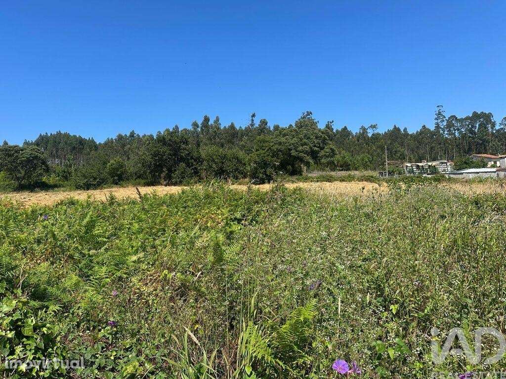 Terreno para construção em Requeixo, Nossa Senhora de Fátima e Nariz d - Grande imagem: 4/4